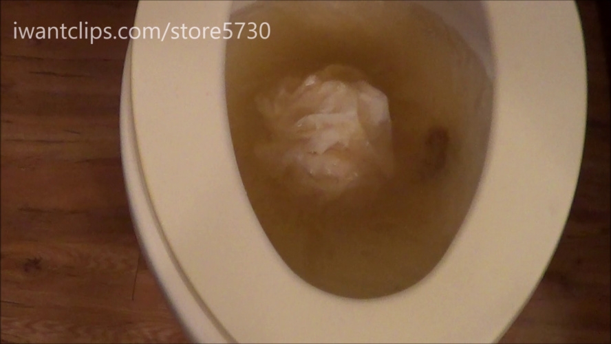 Ashley Dobbs Damn I Clogged The Toilet Keepingitfunky (2025) [FullHD  / MPEG-4]