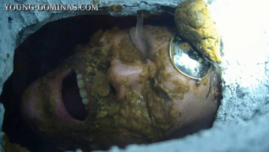 Now you are officially a Toilet Part 2 (2025) [HD  / MPEG-4]