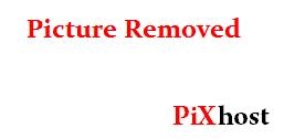 PLBZ – The ass of the human toilet must be punished in order to work properly (2025) [HD  / MPEG-4]