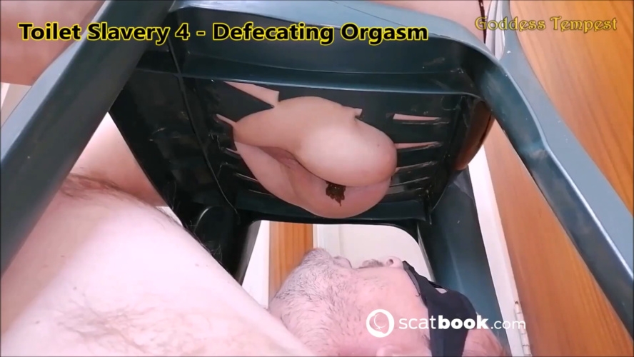 Broken Toilet 26 - Diarrhea Explosion - GODDESS TEMPEST (2025) [FullHD  / MPEG-4]