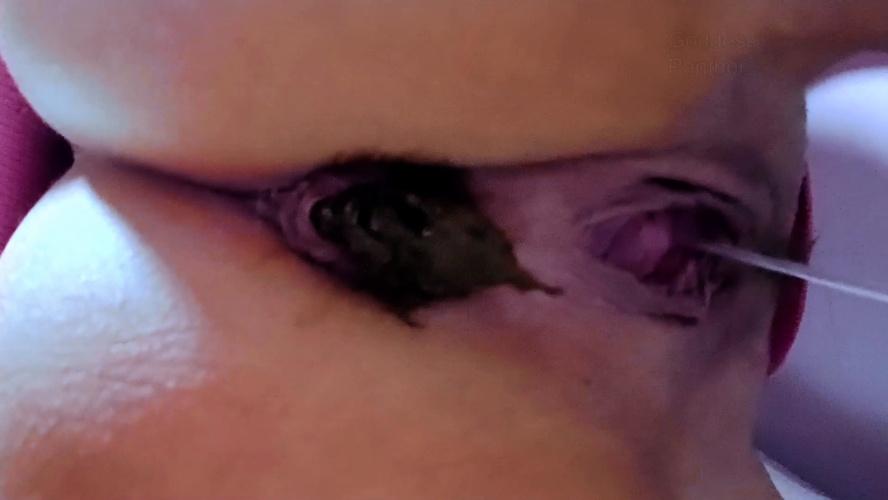 Obsessed With Huge Shit - Sex With thefartbabes (2025) [FullHD  / MPEG-4]