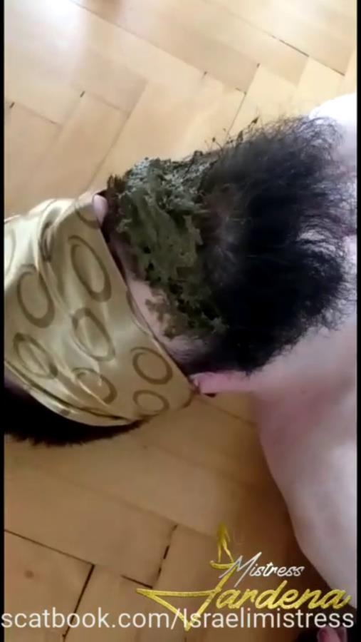Scat lunch for my dirty slut P1 (2025) [SD  / MPEG-4]