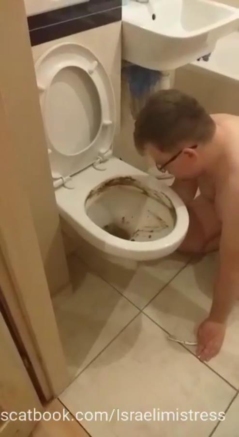 Shitty bitch training feeding in the toilet P1 (2025) [SD  / MPEG-4]