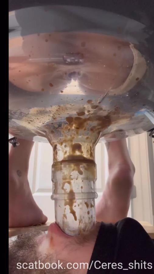 A Day of Shitting Down My Toilet's Throat P1 (2025) [SD  / MPEG-4]