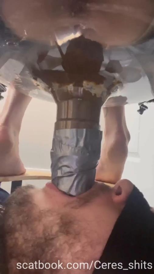 Toilet Annihilation with Goddess Ceres P1 (2025) [SD  / MPEG-4]