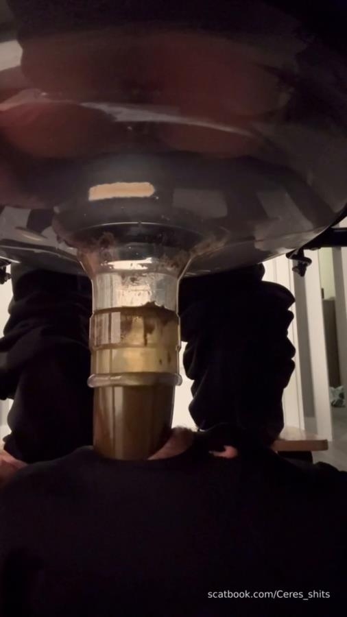 Goddess Ceres-2025-10-19 - Toilet Swallows All My Waste For The Day (2025) [SD  / MPEG-4]