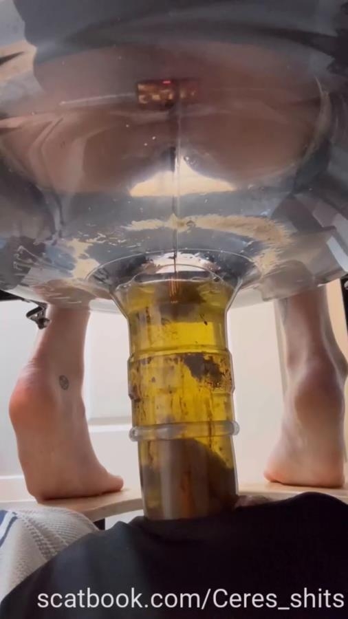 2025-10-05 - Only Waste For A Week Full Time Septic Ta - Sex With Goddess Ceres (2025) [SD  / MPEG-4]