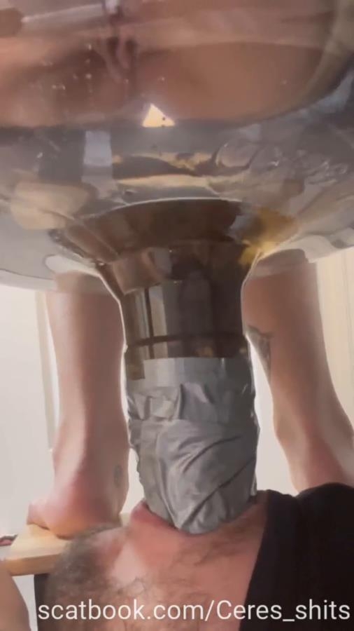 A Full Day Of Humiliation Hiking With A Toilet - Sex With Goddess Ceres (2025) [SD  / MPEG-4]