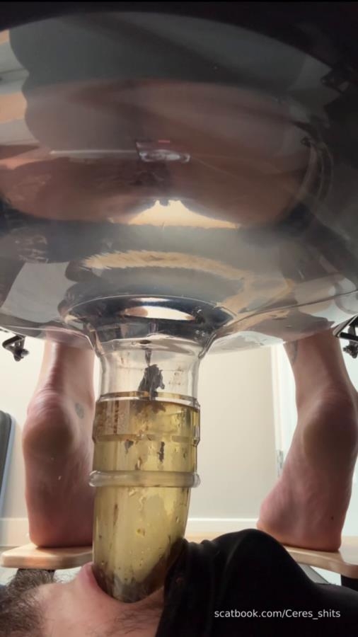 Five Levels of Shit » Mixfemdomcc - Latest Femdom Porn for Online Streaming - Sex With Goddess Ceres (2025) [SD  / MPEG-4]