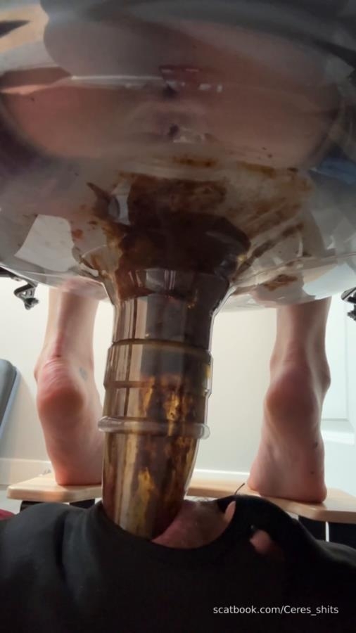 Daily Toilet Torture » Mixfemdomcc - Latest Femdom Porn for Online Streaming - Sex With Goddess Ceres (2025) [SD  / MPEG-4]