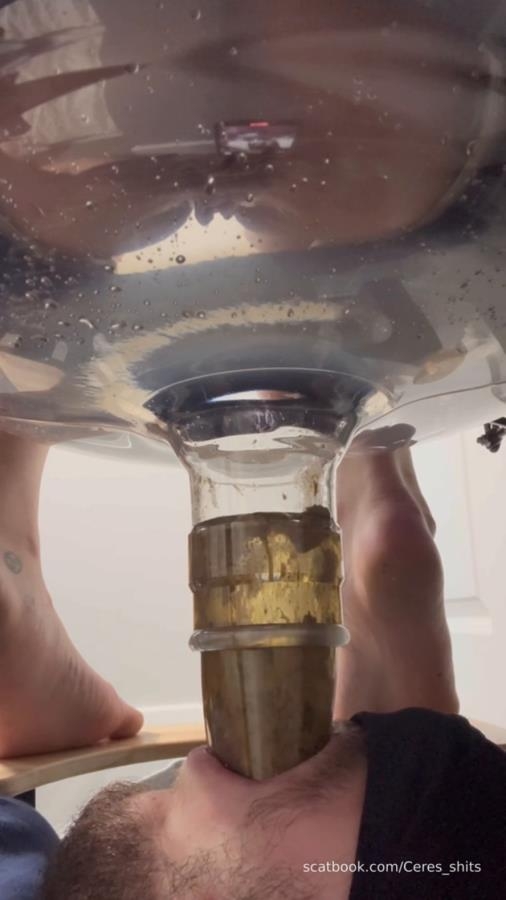 Human Toilet's First Malfunction Infinite Shit Down Your Throat » Mixfemdomcc - Latest Femdom Porn for Online Streaming - Sex With Goddess Ceres (2025) [SD  / MPEG-4]